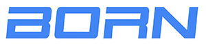 Борн СП